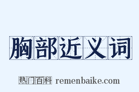 胸部近义词是什么意思的图片